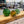 September Hot Glass: 20 Minute Workshops (Pumpkin or Paperweight)